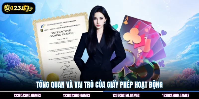 Tổng quan và vai trò của giấy phép hoạt động